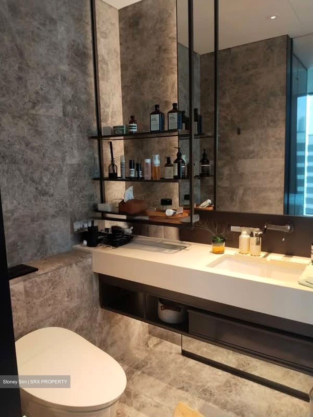 Cuscaden Reserve (D10), Condominium #602939121